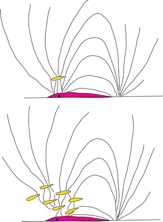 Fig. 3