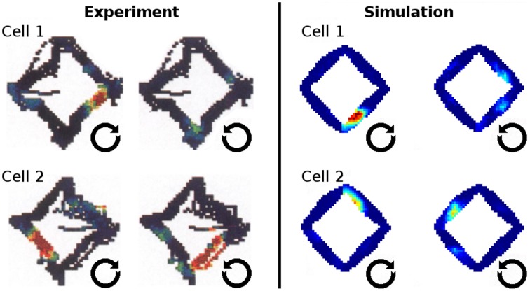 Figure 15