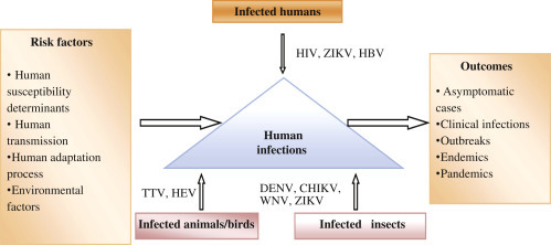 Figure 4.1