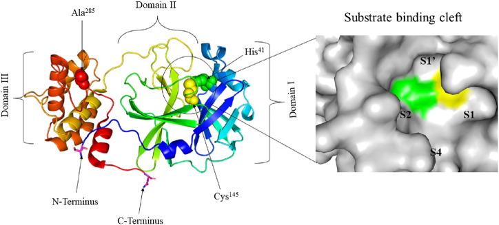 FIGURE 1