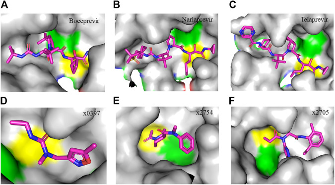 FIGURE 4