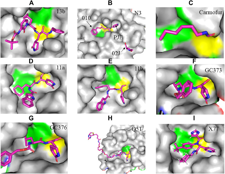 FIGURE 2