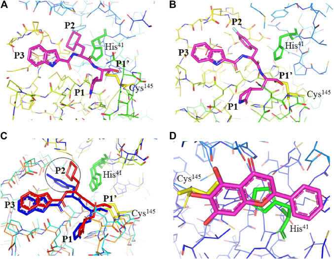 FIGURE 3