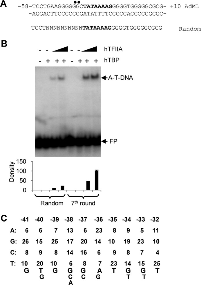 Figure 2.