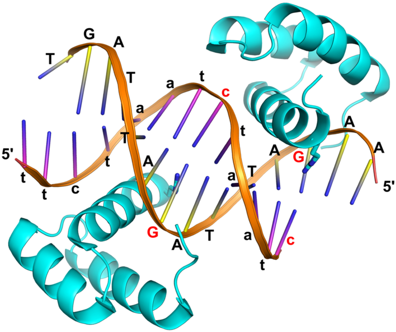 Figure 2.