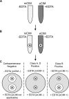 FIG 1