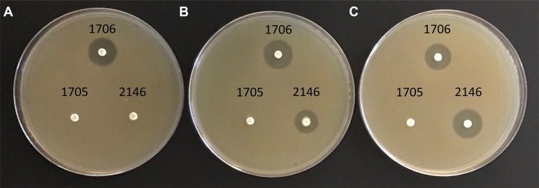 FIG 2