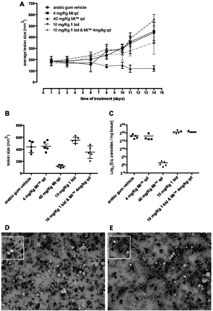 FIG 3