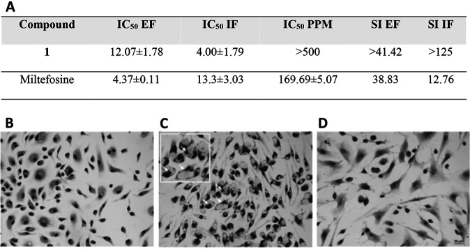 FIG 2