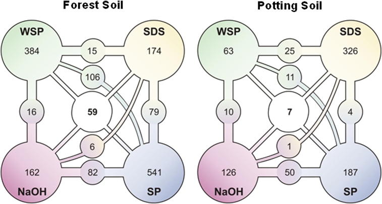 Fig. 2