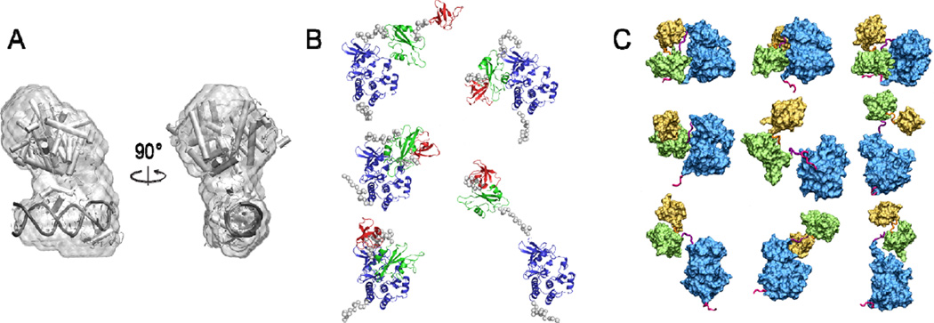 Figure 4