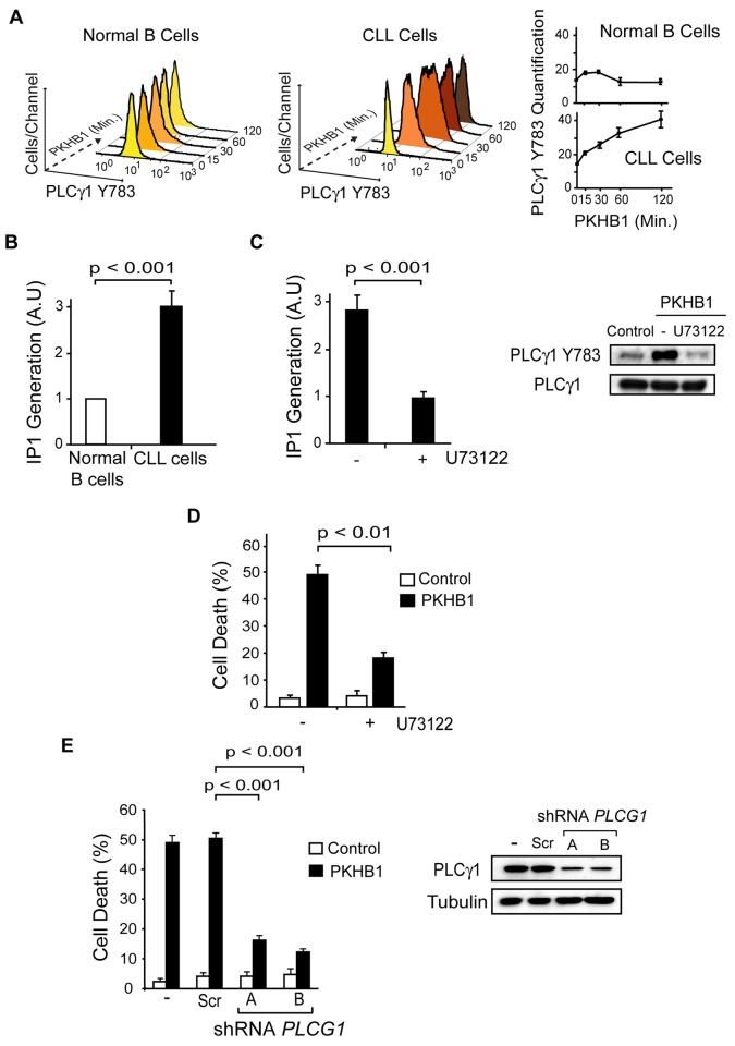 Fig 6