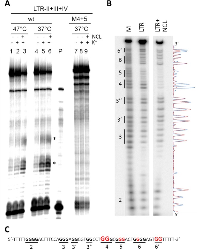 Figure 4.