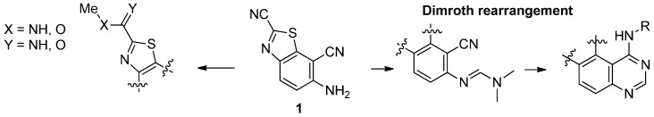 Scheme 2