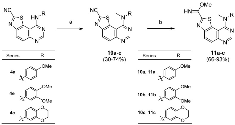 Scheme 5