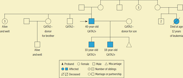 FIGURE 1.: