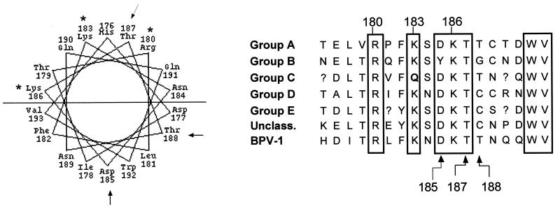 FIG. 6