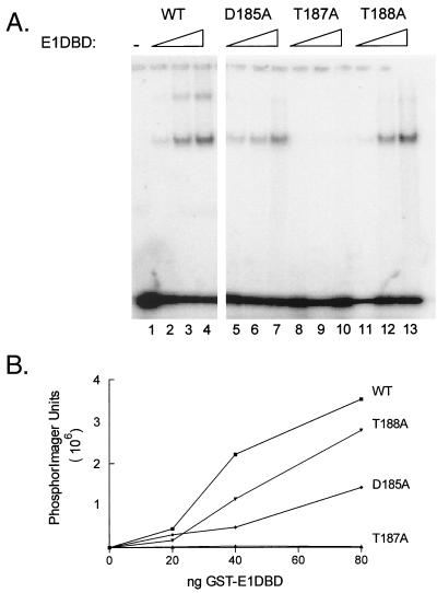 FIG. 7