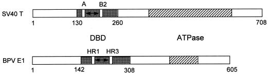 FIG. 8