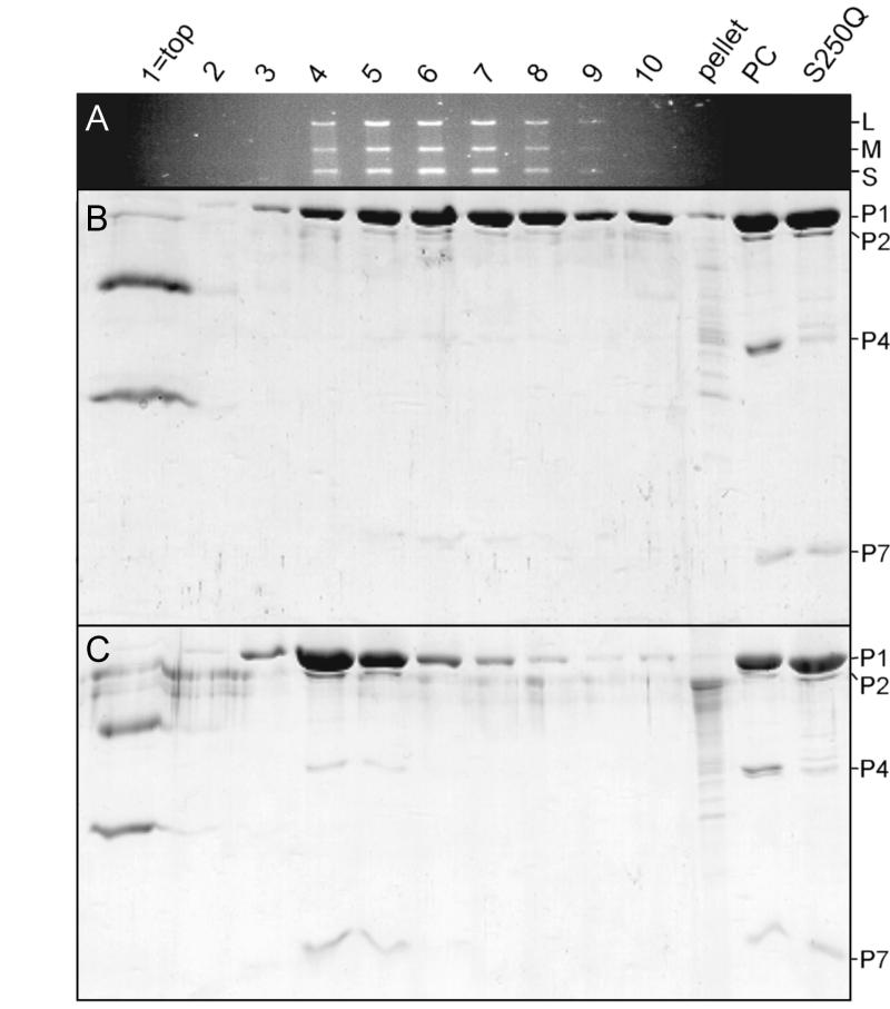 FIG. 5.