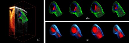 Fig. 10