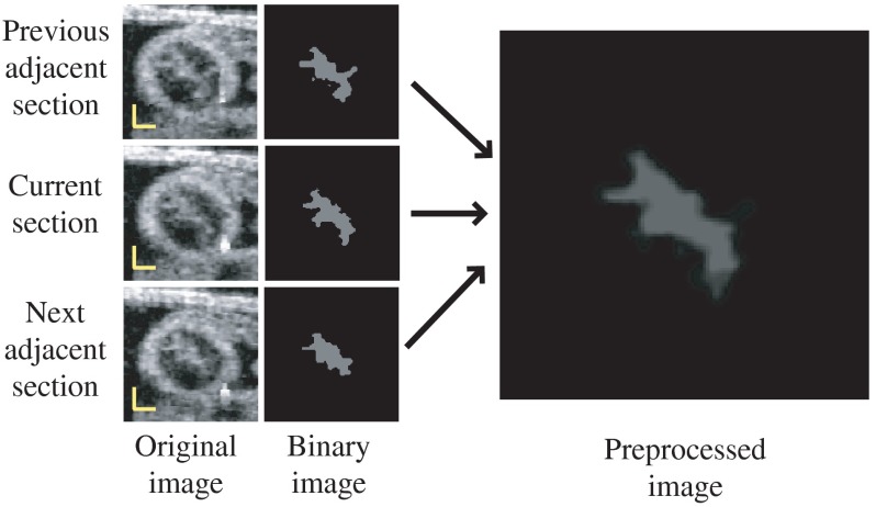 Fig. 8