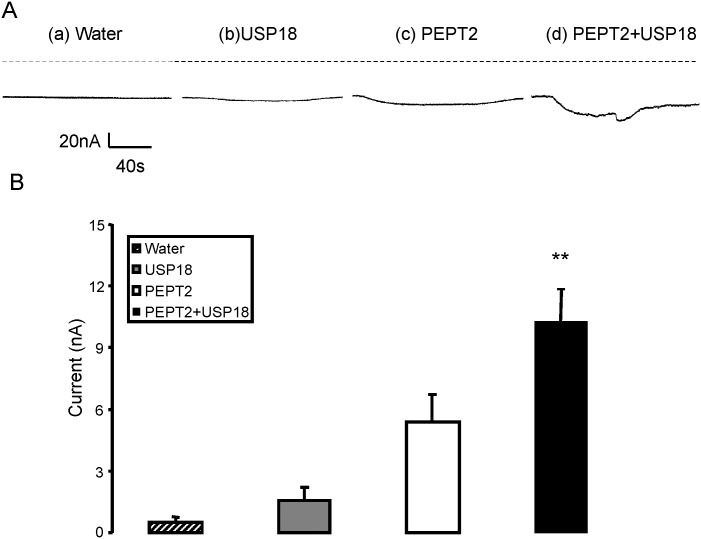 Fig 6