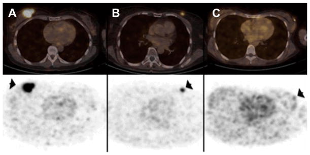 Fig. 15