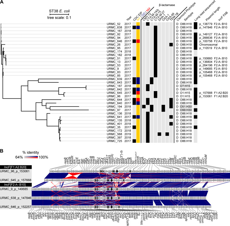 FIG 1