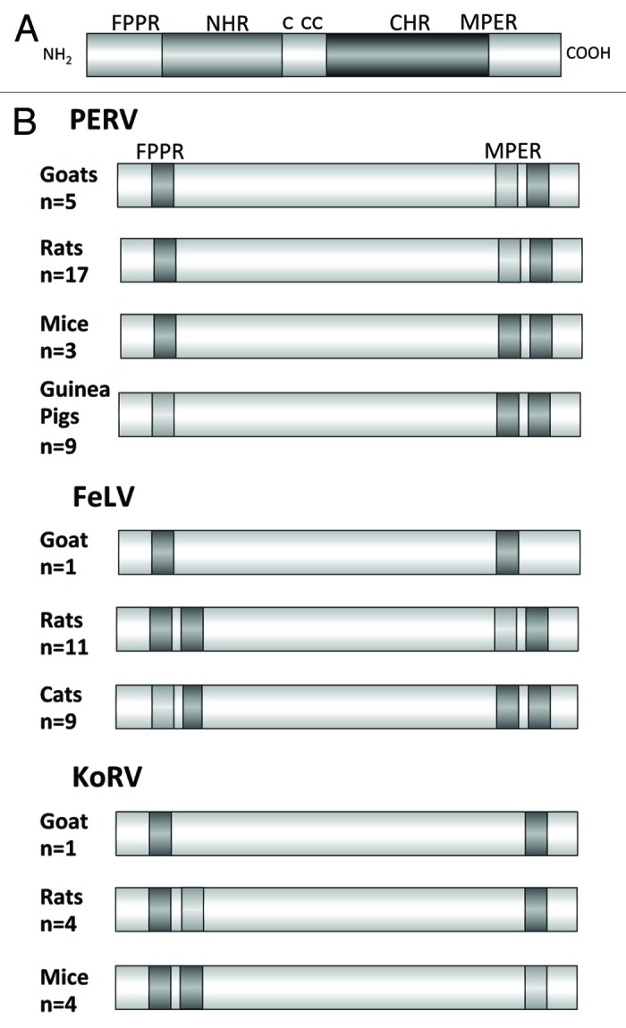 graphic file with name hvi-9-462-g4.jpg