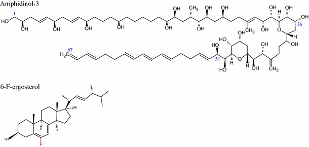 Fig. 4