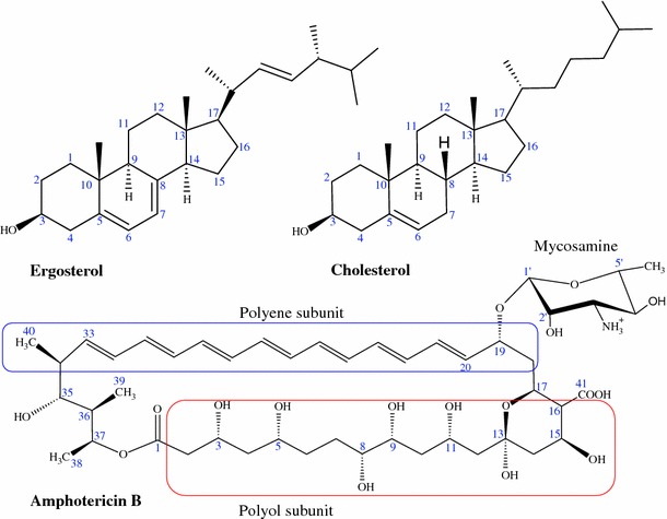 Fig. 1