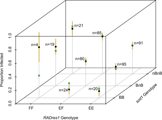 Fig 6