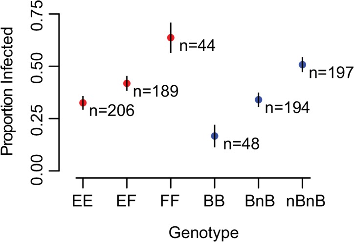 Fig 5