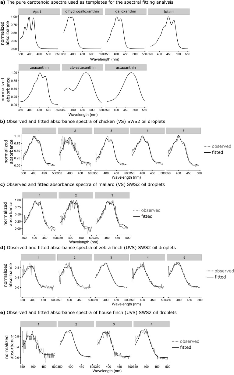 Figure 3—figure supplement 2.