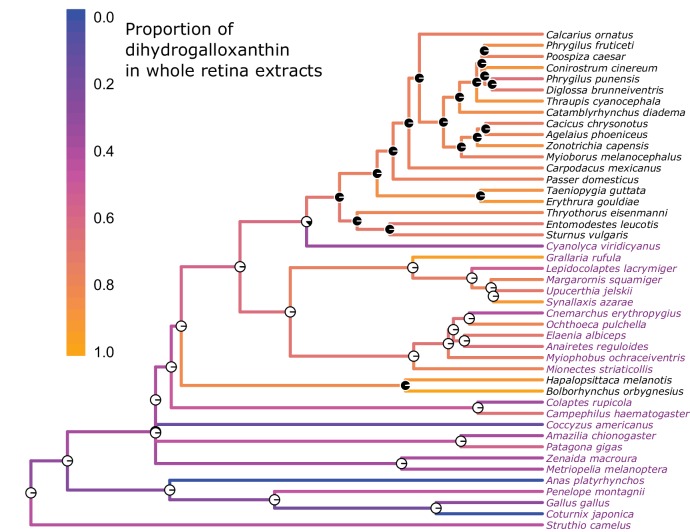 Figure 3—figure supplement 1.