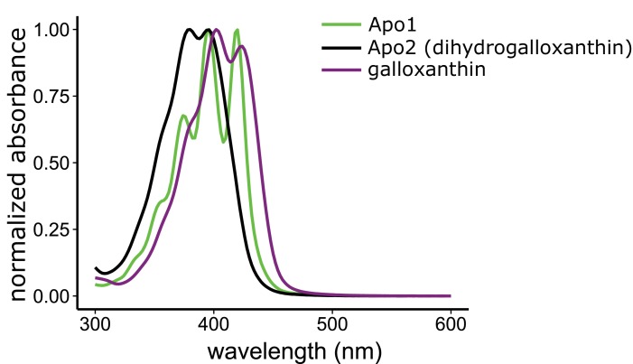 Figure 2—figure supplement 2.