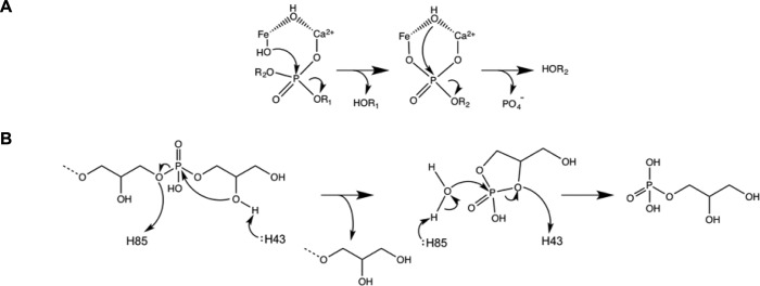 FIGURE 10.