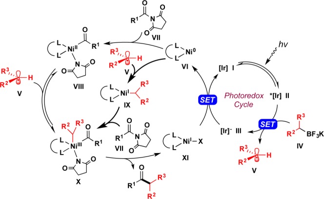 Scheme 3