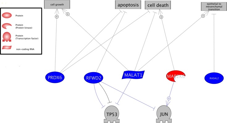 Fig 6