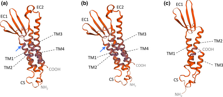 FIGURE 3