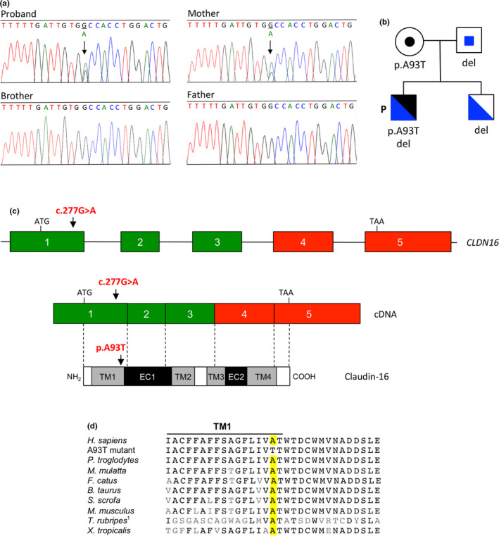 FIGURE 1