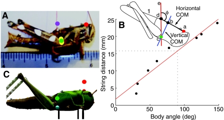 Fig. 2.