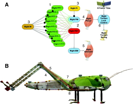 Fig. 3.