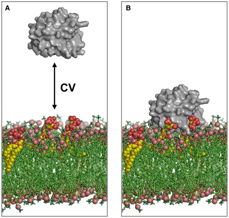 Figure 4.