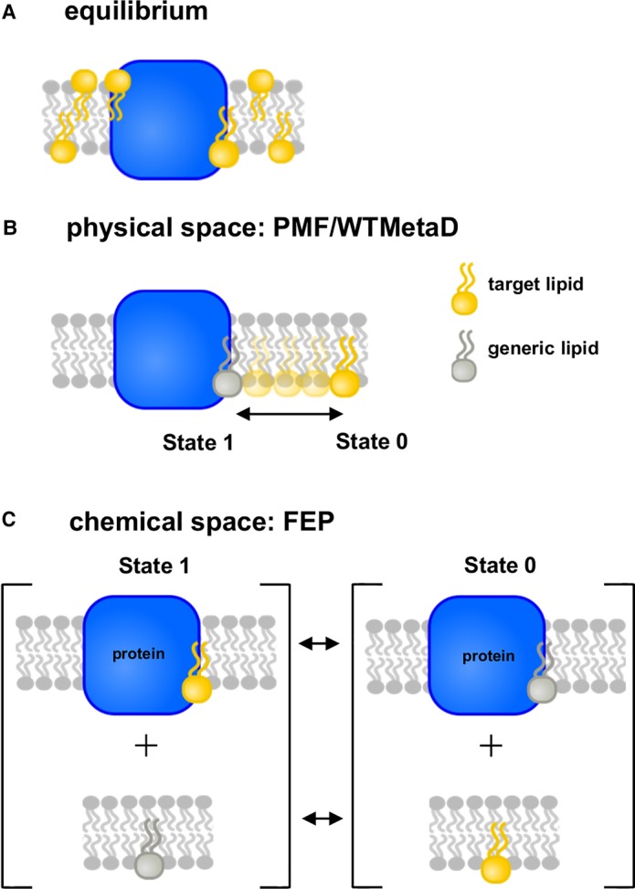 Figure 2.