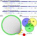 graphic file with name JCLA-35-e23851-g003.jpg