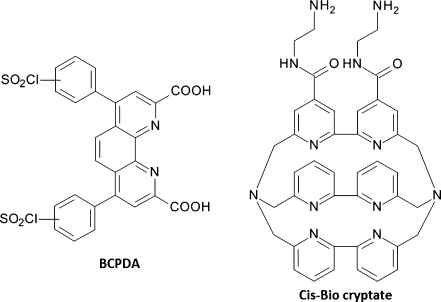 Fig. 8