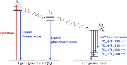 Fig. 2