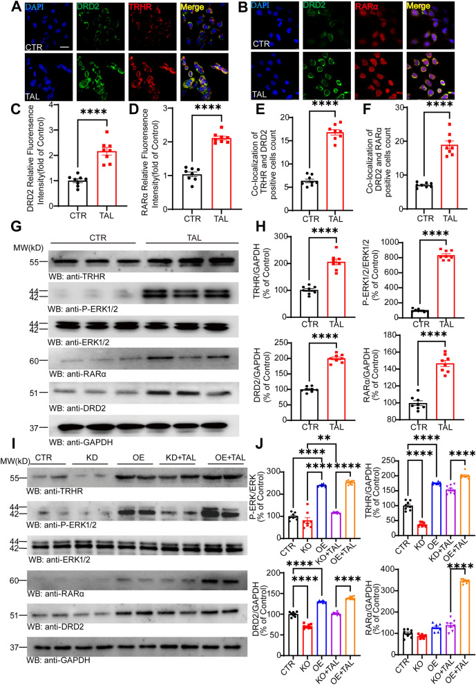 Fig. 7